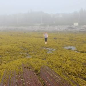 Meet your Posher, Holly